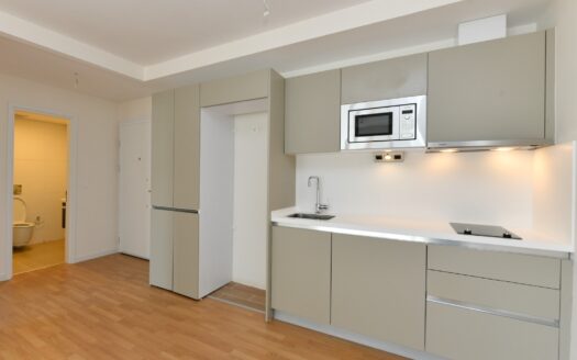 BESİKTAS MİNT İSTANBUL FANTASTİC İNVESTMENT PROPERTY