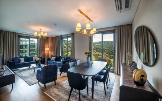 VADI ISTANBUL PROPERTY SALE WITH AMAZING QUALITY LOCATION AND BELGRADE VIEW