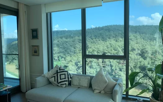 ISTANBUL REAL ESTATE VADI ISTANBUL BEST BUY 2023 PROPERTY TURKEY